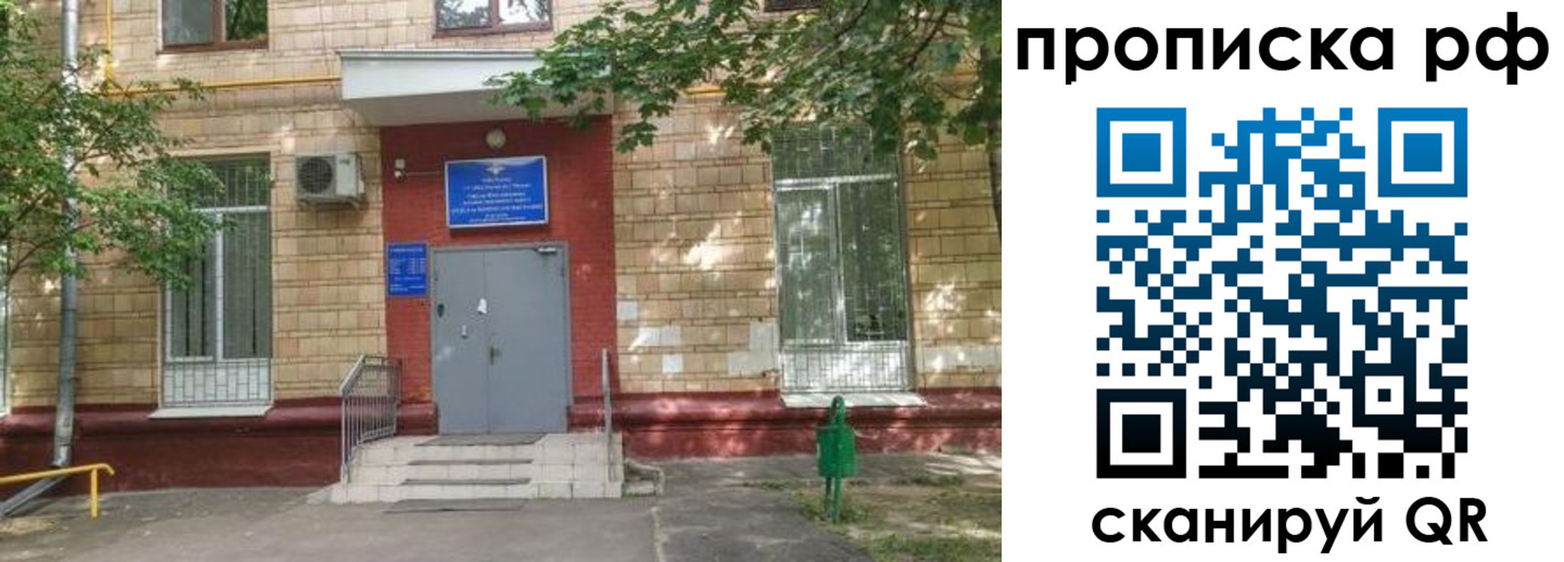 прописка законно в Брянске